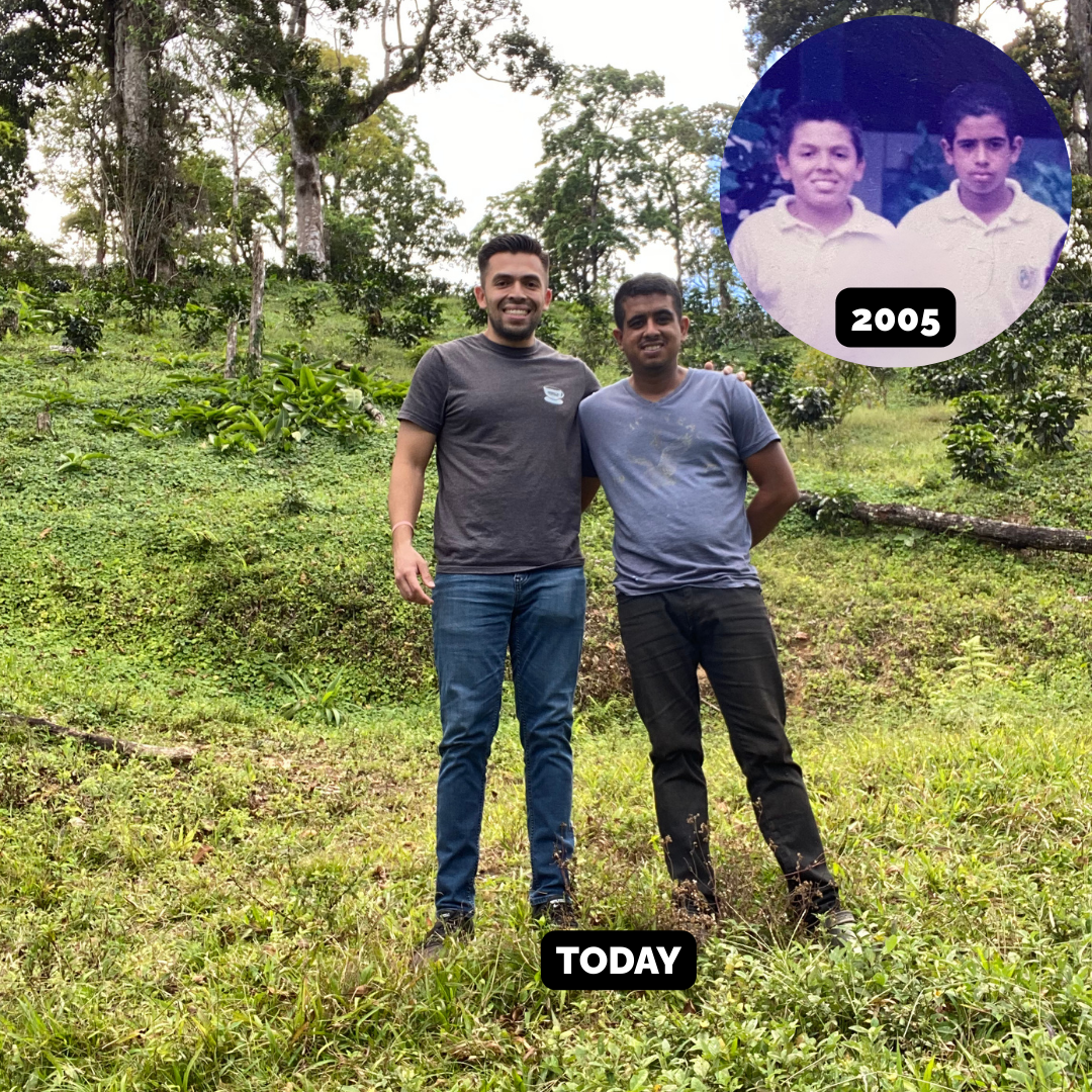 Finca Cruz Parainema Microlot (Josue Cruz)