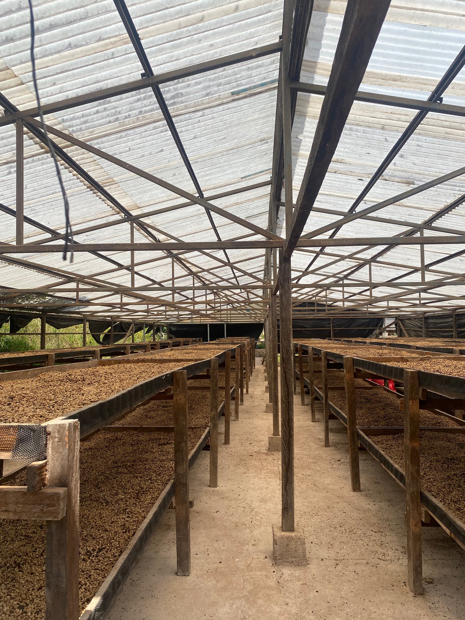 Honduras patio drying