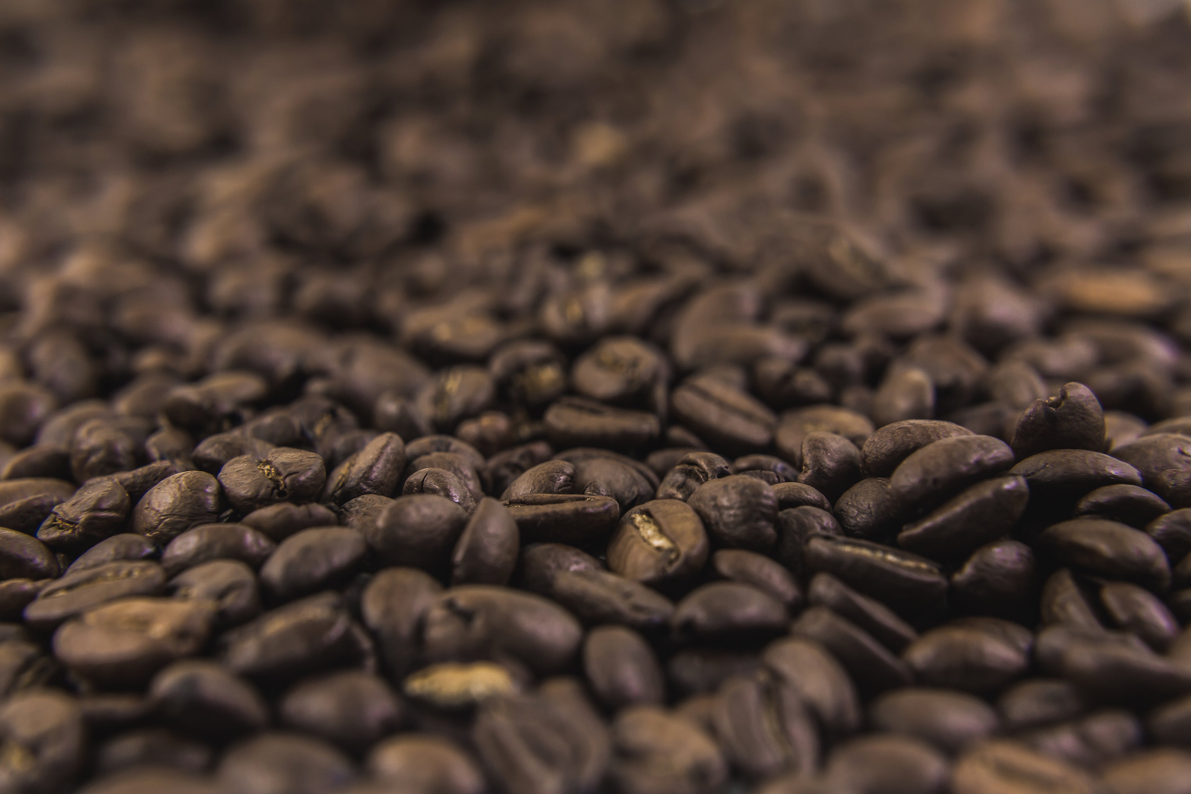 Orgullo Coffee beans