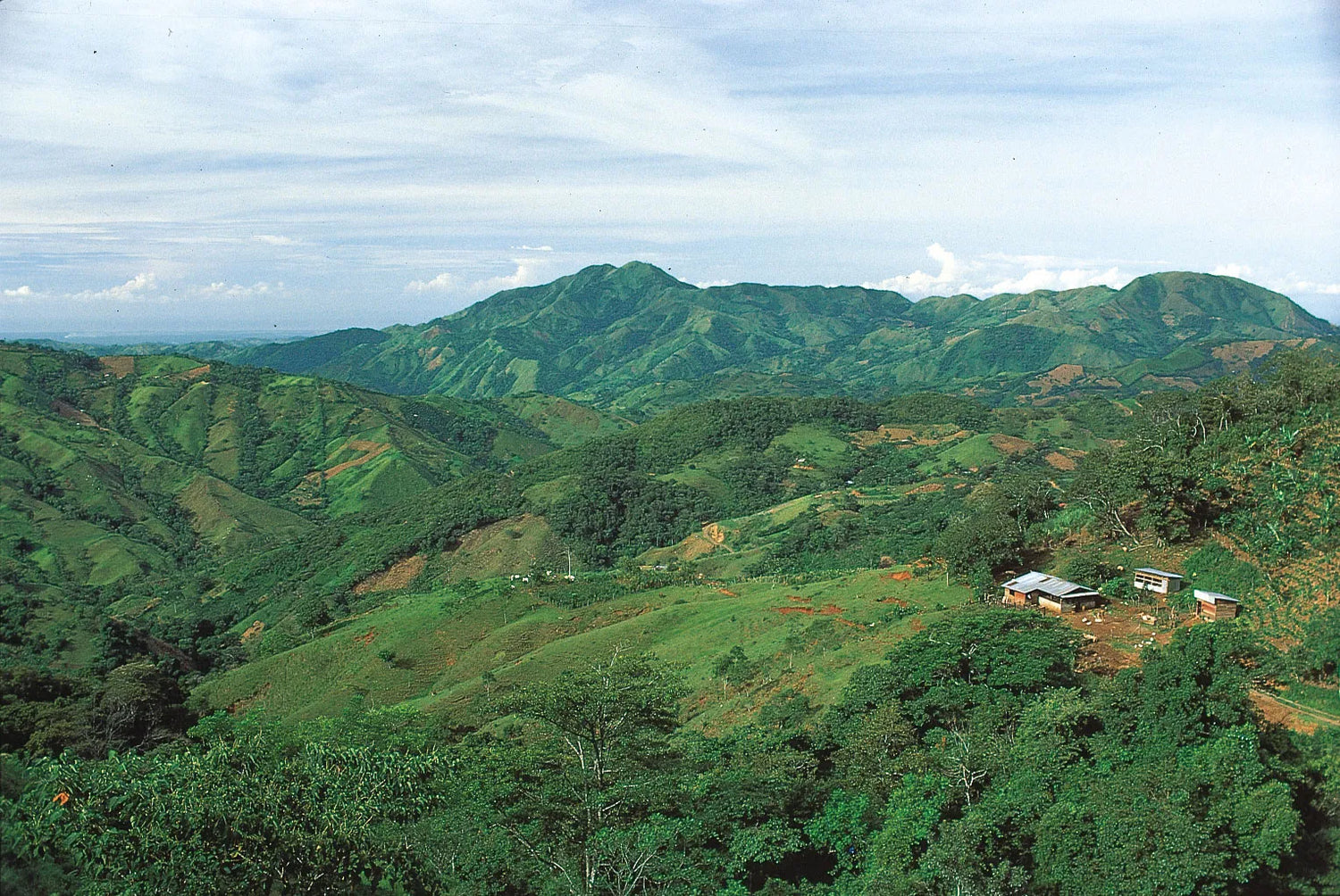 Honduras mountains coffee